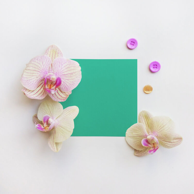 Square paper and flowers